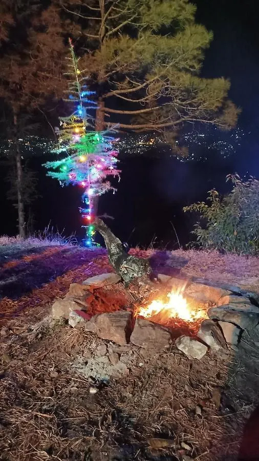 The City Escape Camping Shimla