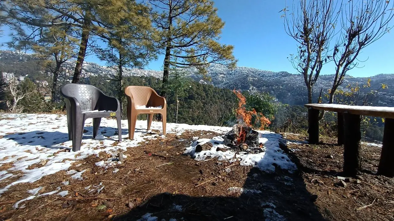 The City Escape Camping Shimla